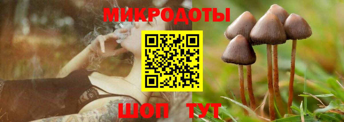 Галлюциногенные грибы Cubensis Городец